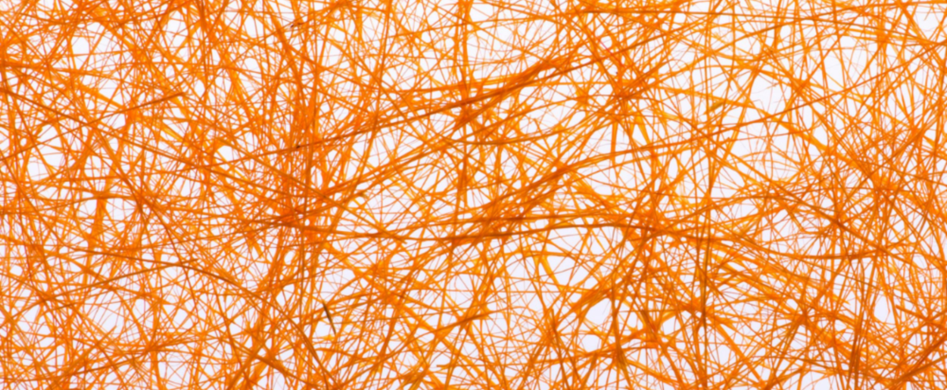 Abstract image of AI neuron system.