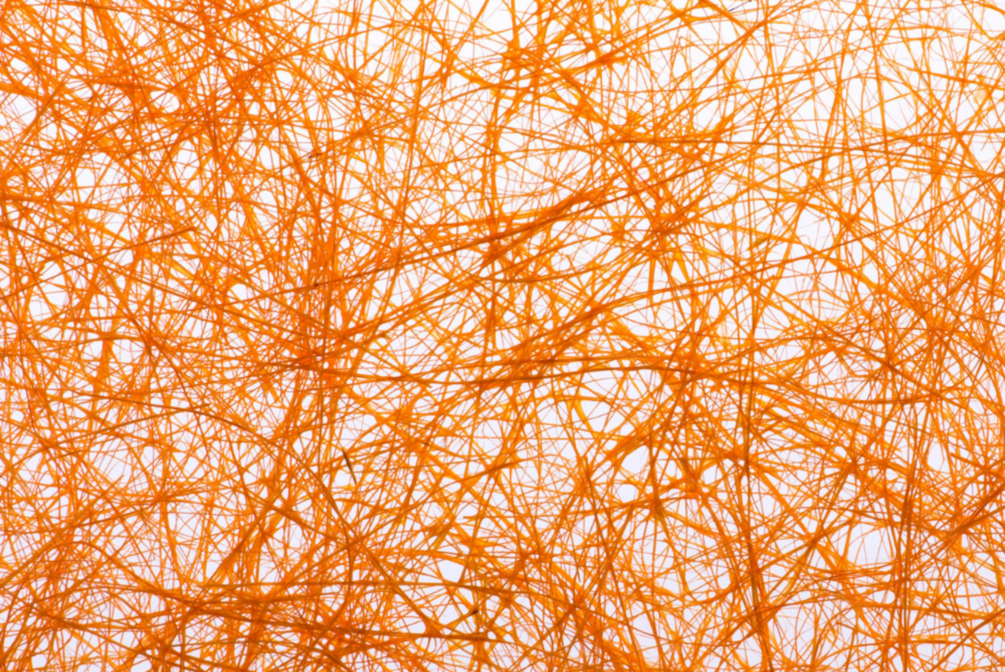 Abstract image of AI neuron system.